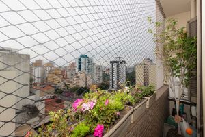 Image 2 - 876295