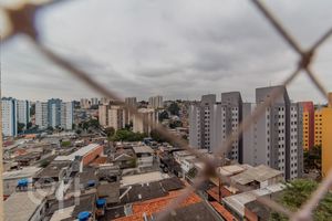 Image 8 - 876314
