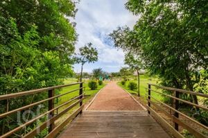 Image 4 - 876317