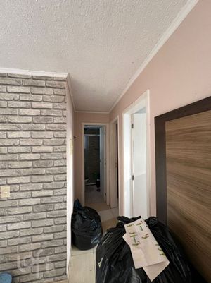 Image 8 - 876353