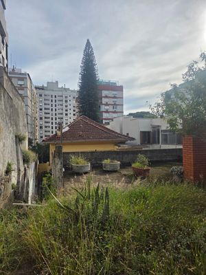 Image 6 - 876370