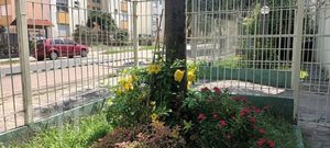Image 9 - 876406