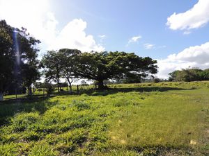 Image 1 - 876470
