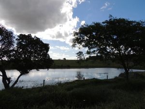 Image 0 - 876470
