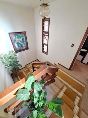 Image 7 - 876533