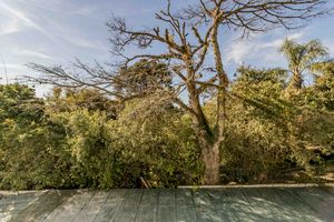 Image 13 - 876539