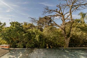 Image 19 - 876539
