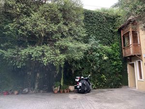 Image 35 - 876541