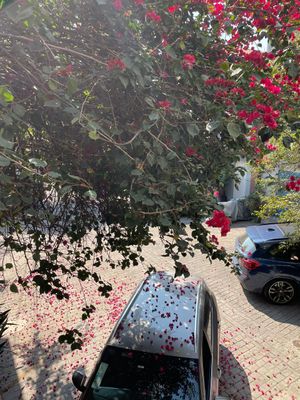 Image 15 - 876541