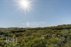 Image 8 - 876557