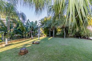 Image 37 - 876560
