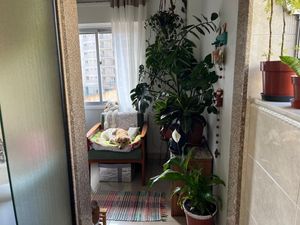 Image 6 - 876573