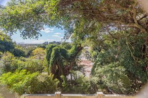 Image 14 - 876581