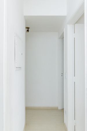 Image 21 - 876594