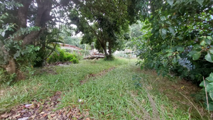 Image 1 - 876635