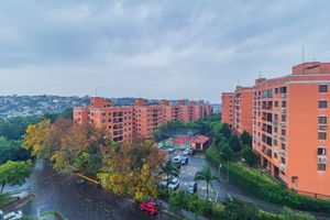 Image 13 - 876692