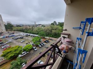 Image 7 - 876716