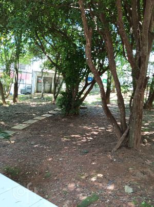 Image 7 - 876723