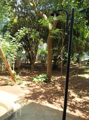Image 10 - 876723