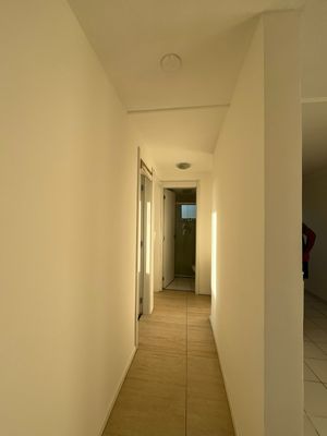 Image 8 - 876786