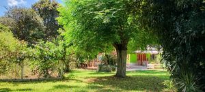 Image 15 - 876811