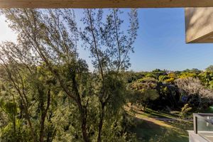 Image 33 - 876898