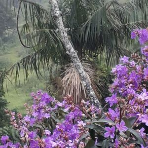 Image 11 - 876944