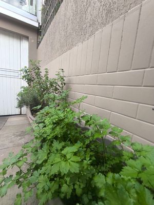 Image 35 - 877029