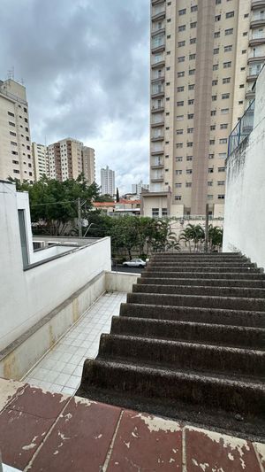 Image 14 - 877075