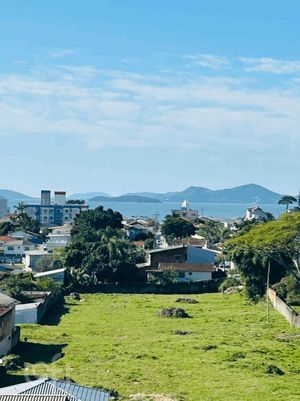 Image 5 - 877145