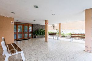 Image 20 - 877308