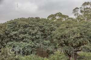 Image 4 - 877359