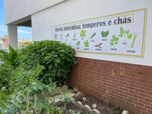 Image 10 - 877424