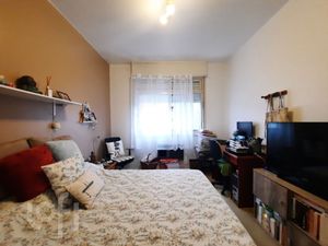 Image 19 - 877455