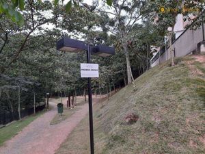 Image 8 - 877516