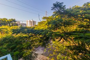 Image 4 - 877535