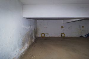 Image 11 - 877535