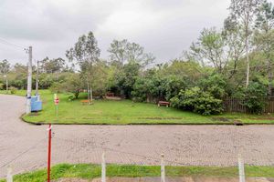 Image 4 - 877544