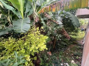 Image 43 - 877559