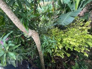Image 44 - 877559