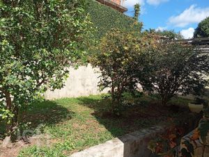 Image 17 - 877568
