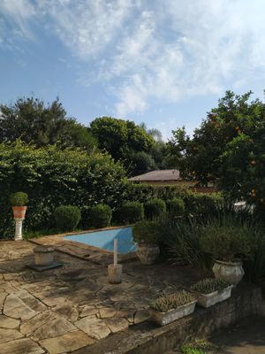 Image 50 - 877664