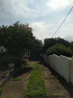 Image 53 - 877664