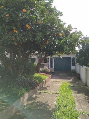 Image 54 - 877664