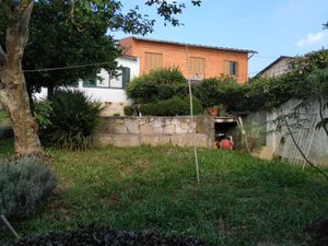 Image 55 - 877664