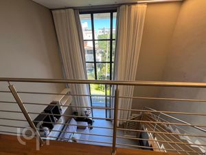 Image 13 - 877691