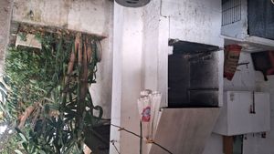 Image 4 - 877747