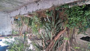 Image 5 - 877747