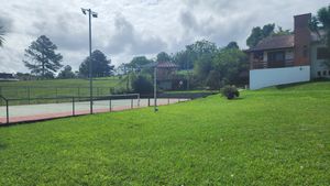 Image 4 - 877777