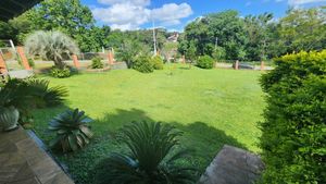 Image 8 - 877777